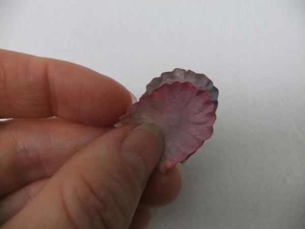Two small petals makes a bud Two small petals makes a bud