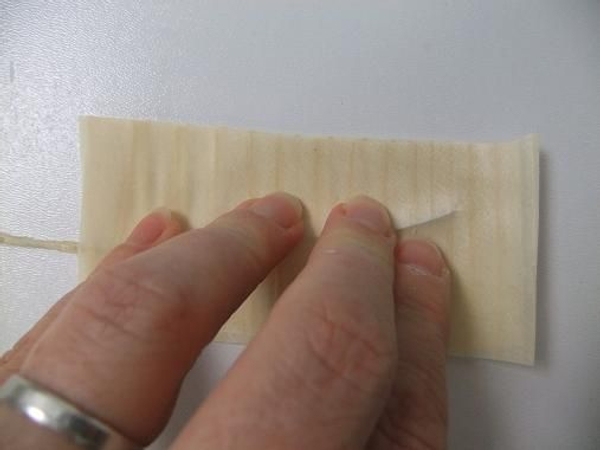 While the glue is still wet smooth the Kyogi paper over the wire to create the vane . While the glue is still wet smooth the Kyogi paper over the wire to create the vane .