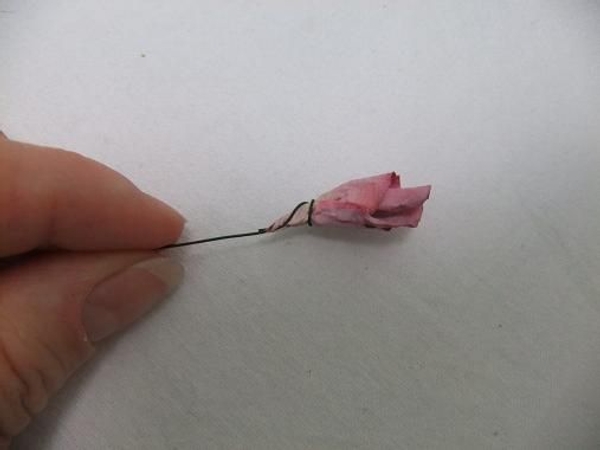 Wire the bud Wire the bud