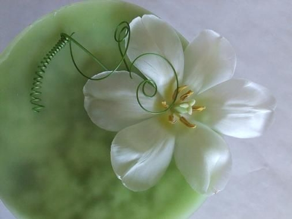 A soft and peaceful design floating on a wax disk.