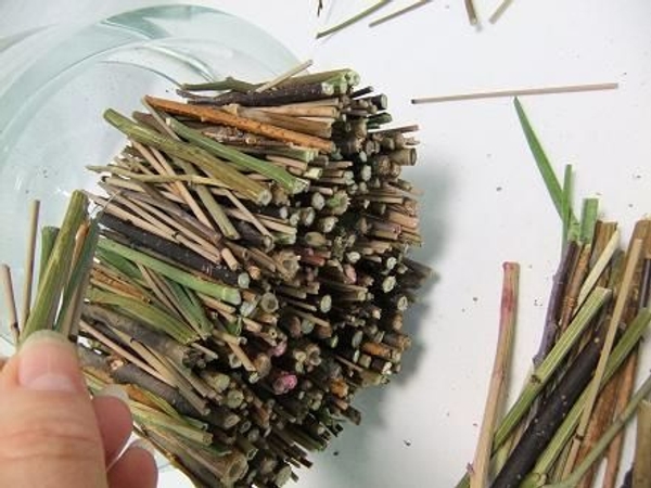 And even more twigs And even more twigs