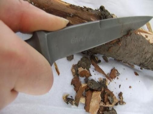 Cut bark from wood. Cut bark from wood.