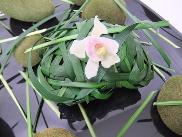 Cymbidium orchid and monkey grass. Cymbidium orchid and monkey grass.
