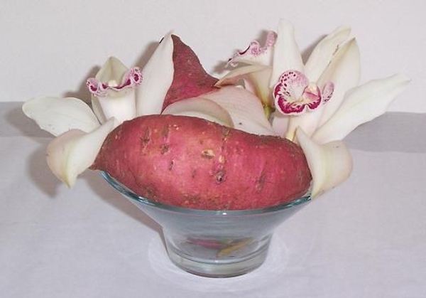 Cymbidium orchid and sweet potato Cymbidium orchid and sweet potato