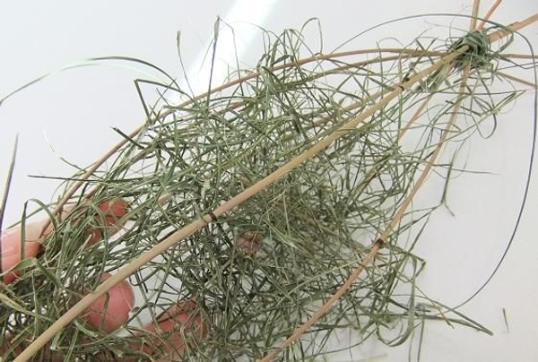 Line the Mikado Reed drop shaped nest with ripped flax. Line the Mikado Reed drop shaped nest with ripped flax.