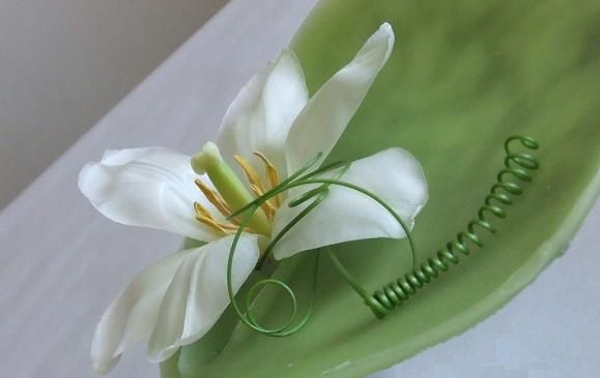 Floating tulip design. Floating tulip design.