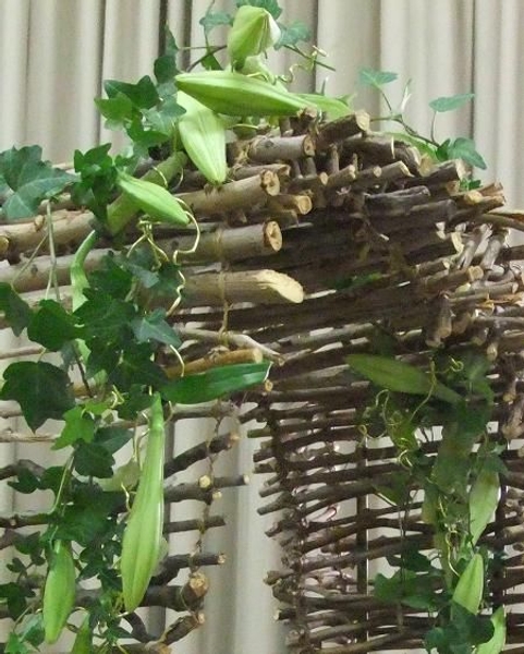 Floral Art design Crossing Boundaries. Floral Art design Crossing Boundaries.