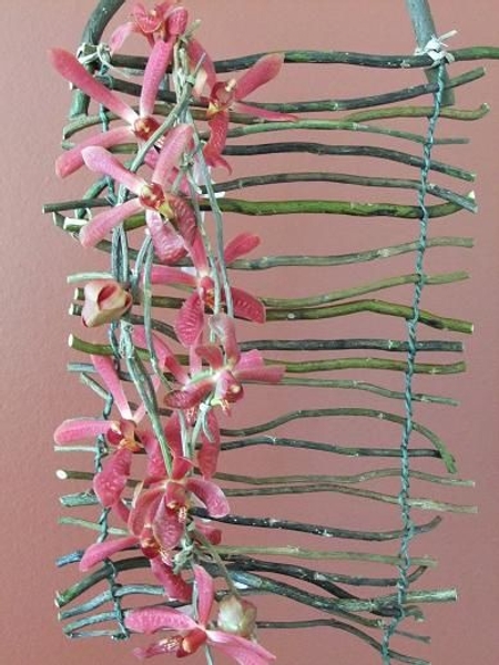 Floral Art design twig blind . Floral Art design twig blind .