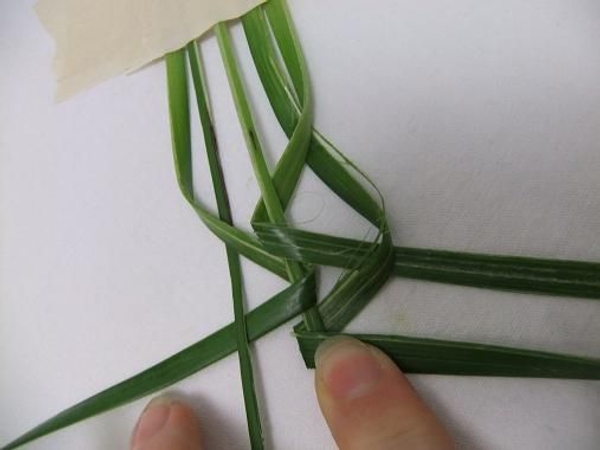 Fold the next leaf up and around the vain. Fold the next leaf up and around the vain.