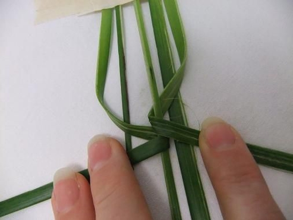 Fold the opposite leaf in and around the vain. Fold the opposite leaf in and around the vain.