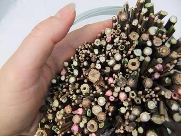 Keep the twigs in place and set the vase upright Keep the twigs in place and set the vase upright