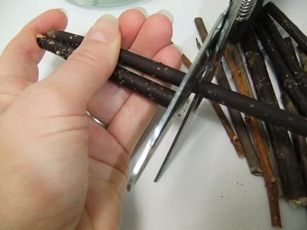 Let the scissors bite into the twig. Let the scissors bite into the twig.