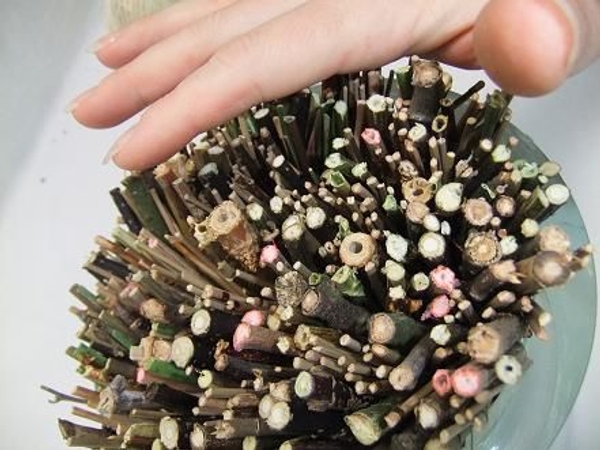 Let the twigs settle and gently brush the twigs in a spiral Let the twigs settle and gently brush the twigs in a spiral