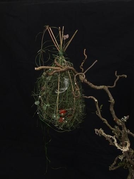 Mikado Reed drop shaped nest . Mikado Reed drop shaped nest .