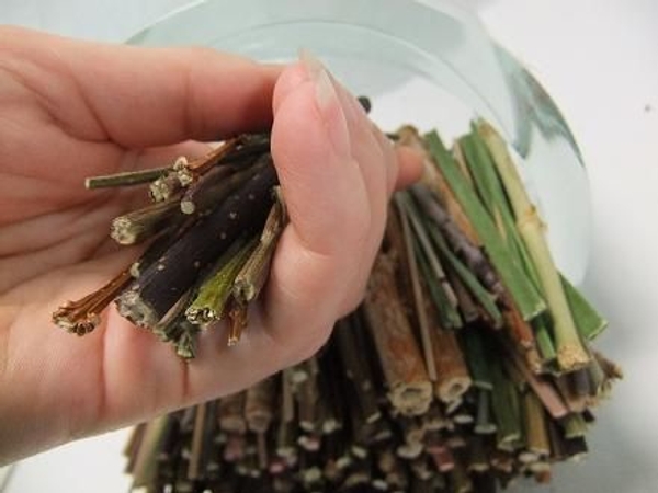 More twigs More twigs