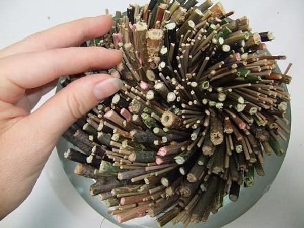 Move the twigs around to make a perfect spiral. Move the twigs around to make a perfect spiral.