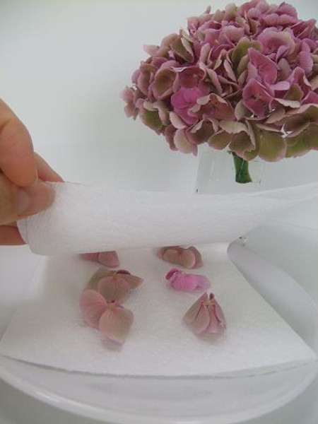 Place the flowers between layers of paper towels to absorb the moisture.