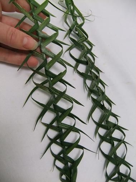 Plaiting a palm thorn garland.