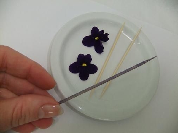Purple Purple