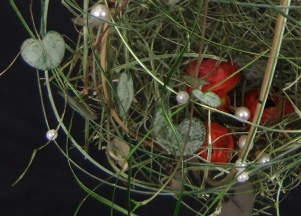 Ranunculus, flax and Rosary vine nest . Ranunculus, flax and Rosary vine nest .