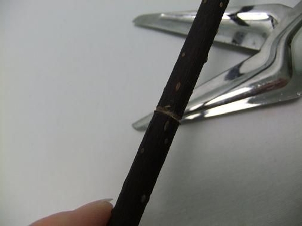 Scribe and break the twig. Scribe and break the twig.