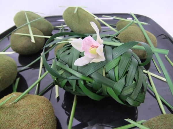 Skipping stone Floral Art design. Skipping stone Floral Art design.