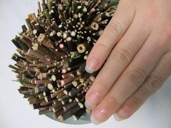 Softly pat the twigs to settle in a spiral Softly pat the twigs to settle in a spiral