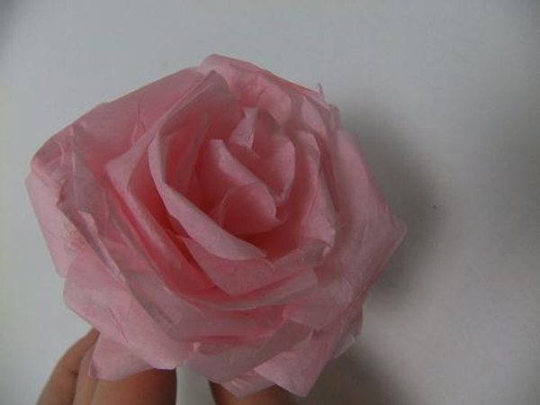 Spiral rolled tissue paper rose.