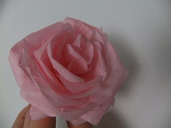 Spiral rolled tissue paper rose.