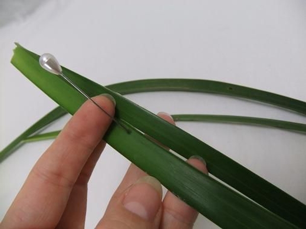 Split the leaf with a corsage pin. Split the leaf with a corsage pin.