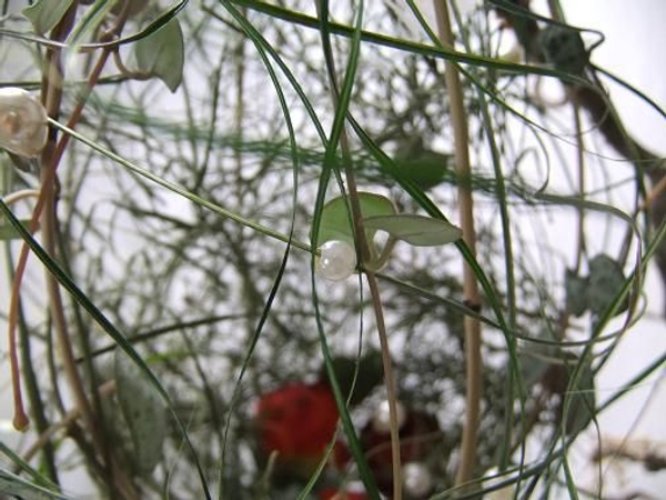 Stringing pearls through grass strands.