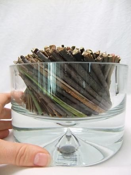 When perfect pour in a bit of warm water to let the twigs swell into place. When perfect pour in a bit of warm water to let the twigs swell into place.