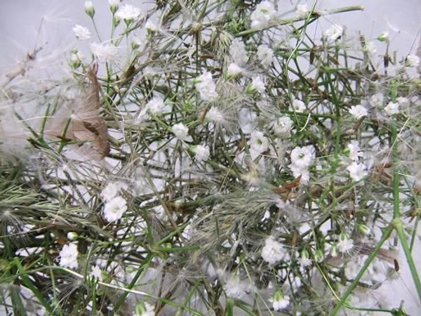 Add a few grasses and white feathers. Add a few grasses and white feathers.