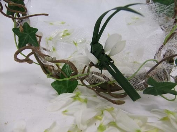 Chrysanthemum petals to scatter. Chrysanthemum petals to scatter.