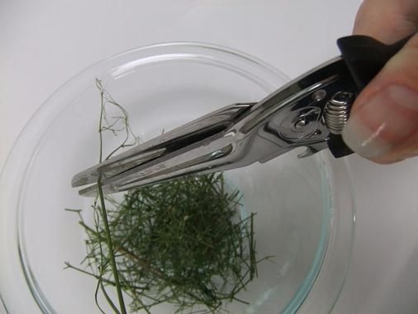 Cut the gypsophila stems into tiny twig pieces.