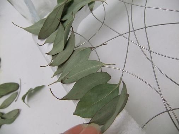 Follow the natural curve of the eucalyptus leaves. Follow the natural curve of the eucalyptus leaves.