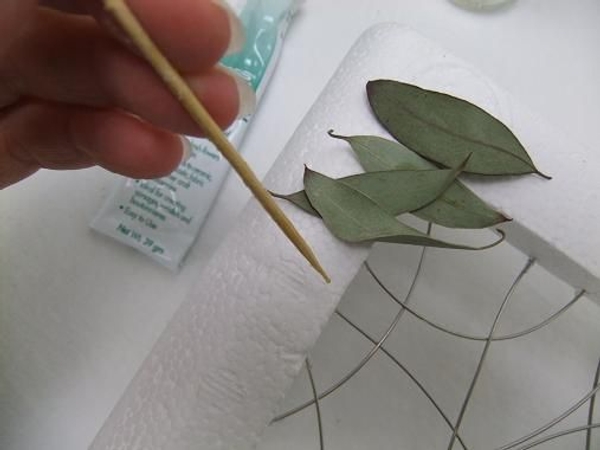 Glue dried Eucalyptus leaves to the Styrofoam frame. Glue dried Eucalyptus leaves to the Styrofoam frame.