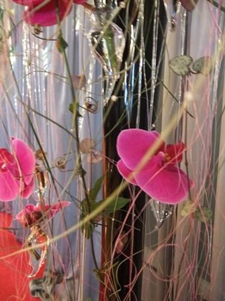 Royal purple toned rosary vines and flowering passion fruit vines. Royal purple toned rosary vines and flowering passion fruit vines.