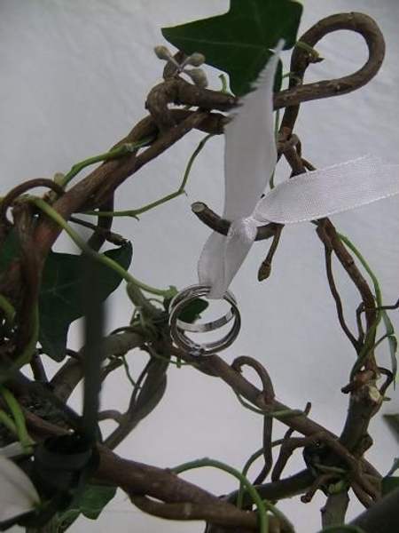 Tie the wedding rings to the bug box with ribbon. Tie the wedding rings to the bug box with ribbon.