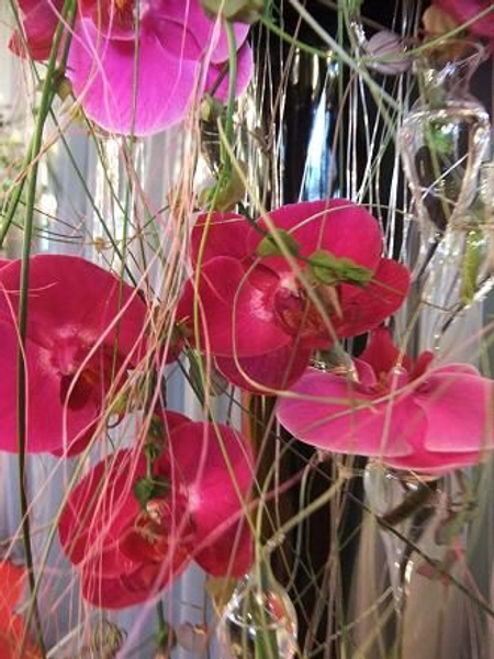 Vines and orchids floats down the waterfall in glass seahorses. Vines and orchids floats down the waterfall in glass seahorses.