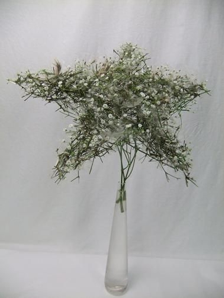 Wish Upon a Dandelion and Gypsophila stick Star. Wish Upon a Dandelion and Gypsophila stick Star.