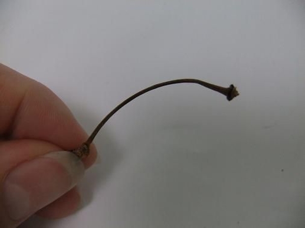 Curvy twigs can also be straightened Curvy twigs can also be straightened