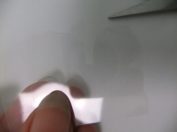 Cut a butterfly out of acetate. Cut a butterfly out of acetate.