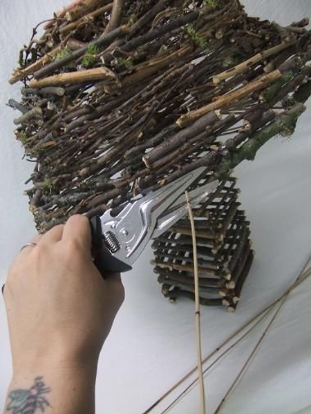 Cut the Mikado Reed short . Cut the Mikado Reed short .