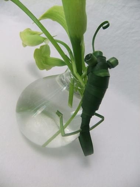 Green arum lilies and Chameleon. Green arum lilies and Chameleon.