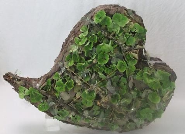 Heart shaped log made from cardboard and bark. Heart shaped log made from cardboard and bark.