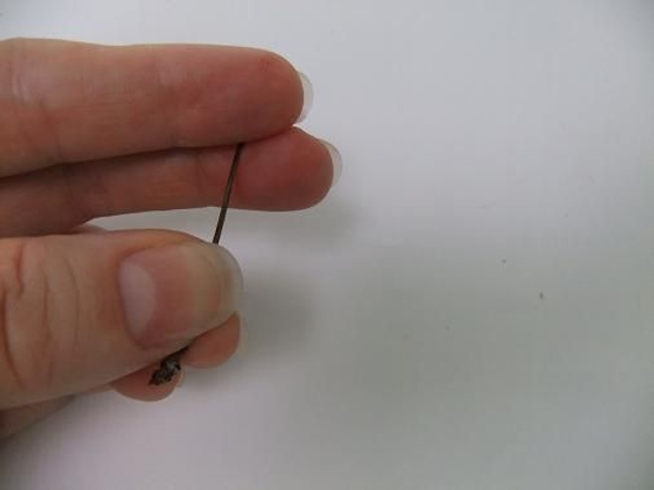 Hold the stem firmly between your fingers and pull down. Hold the stem firmly between your fingers and pull down.