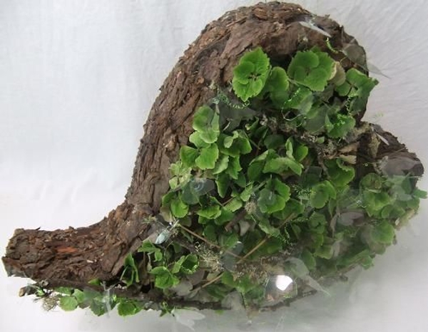 Hydrangea design in a wooden heart. Hydrangea design in a wooden heart.
