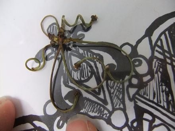 Manipulate the twigs into shapes. Manipulate the twigs into shapes.