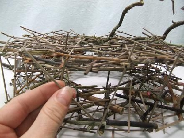 Separate the two circles by gluing twigs to each side. Separate the two circles by gluing twigs to each side.